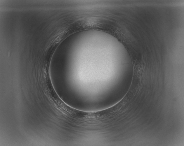 X0000052650746200507011412