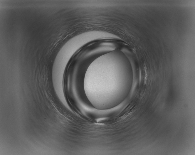 X0000052650747200507011412