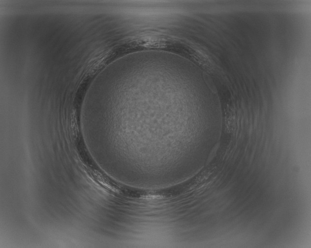 X0000052650748200507011412