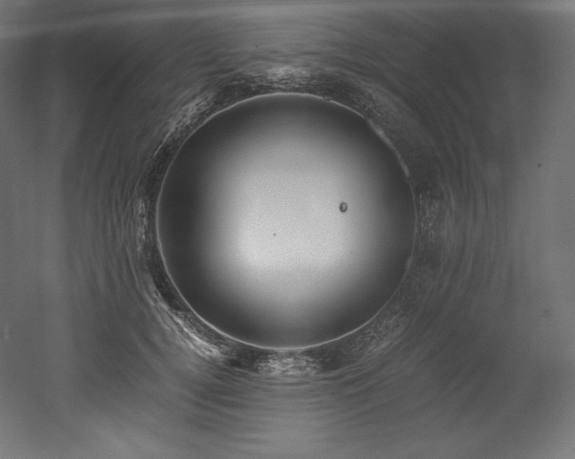 X0000052650752200507011412
