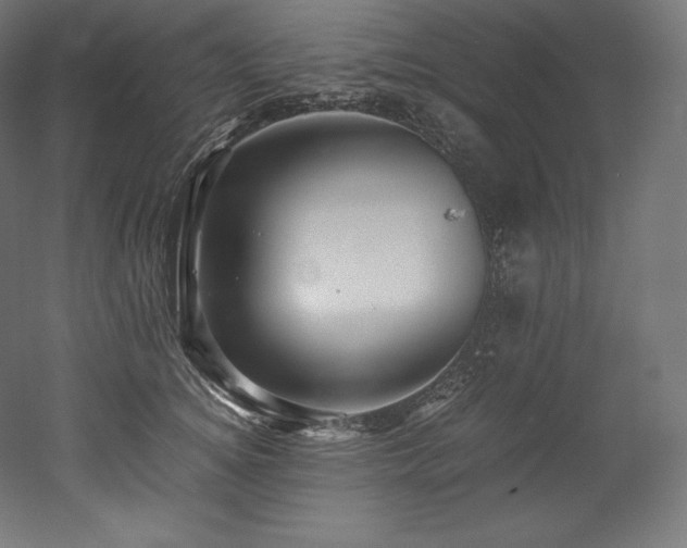 X0000052650756200507011412