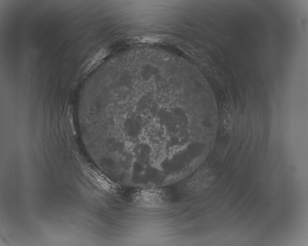 X0000052650758200507011412