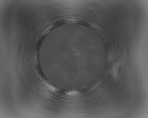 X0000052650759200507011412
