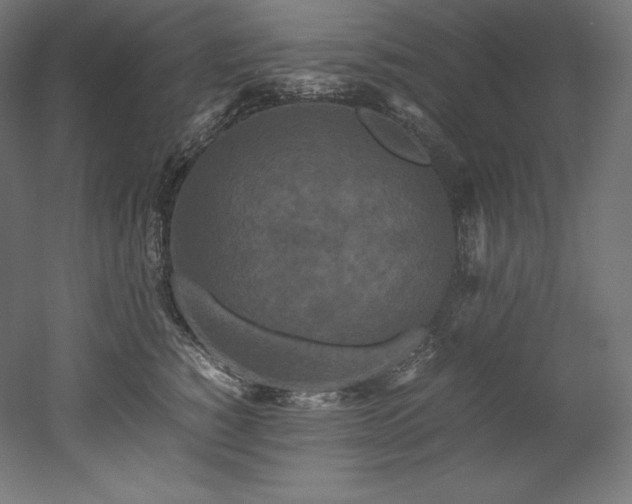 X0000052650760200507011412
