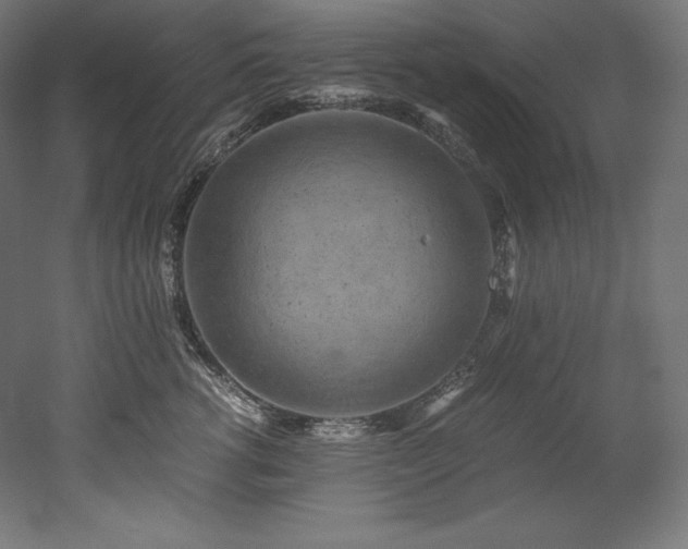 X0000052650762200507011412