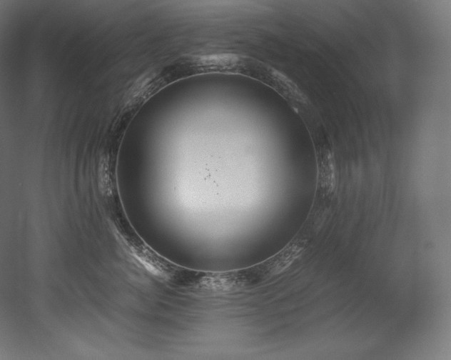 X0000052650764200507011412