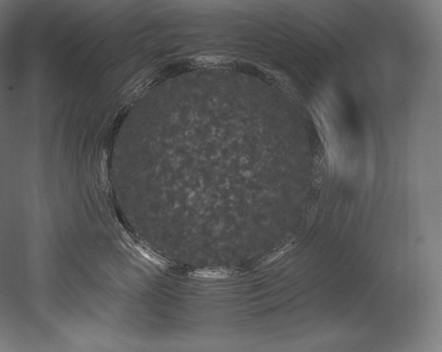 X0000052650765200507011412