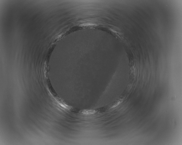 X0000052650767200507011412