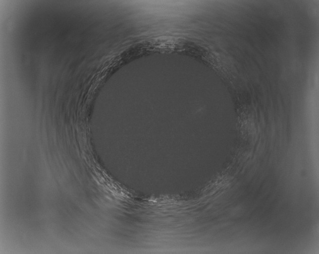 X0000052650769200507011411