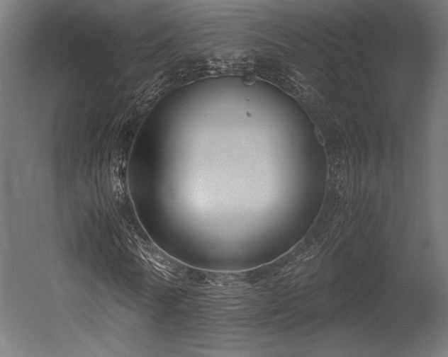 X0000052650770200507011411