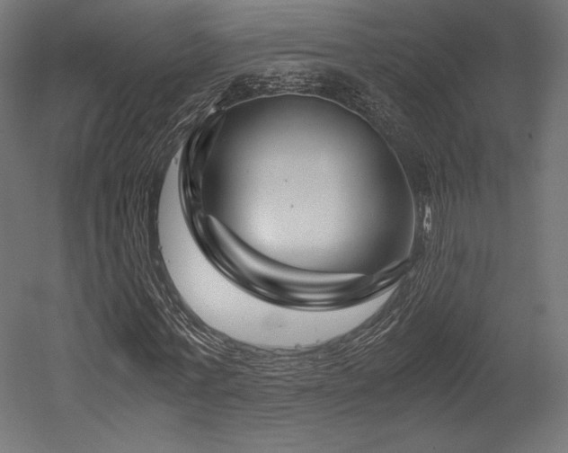 X0000052650771200507011411