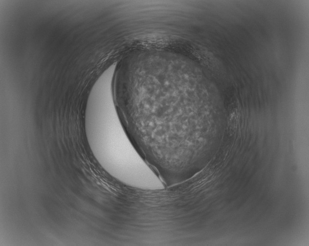 X0000052650772200507011411