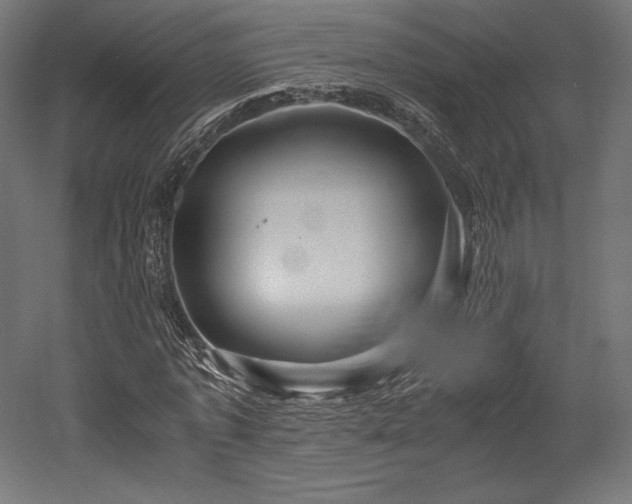X0000052650773200507011411