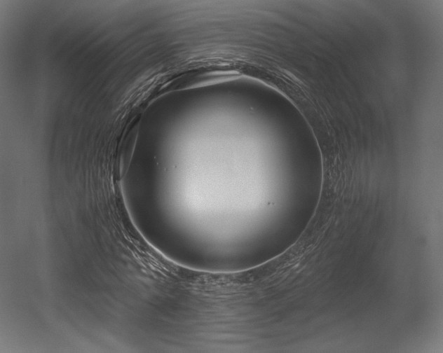 X0000052650774200507011411