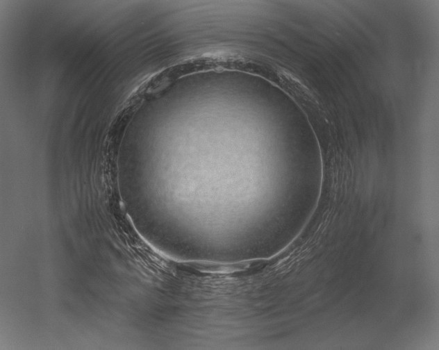 X0000052650776200507011411