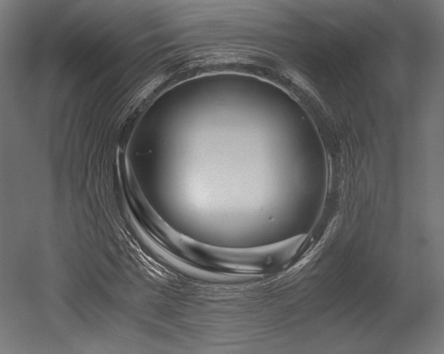 X0000052650777200507011411