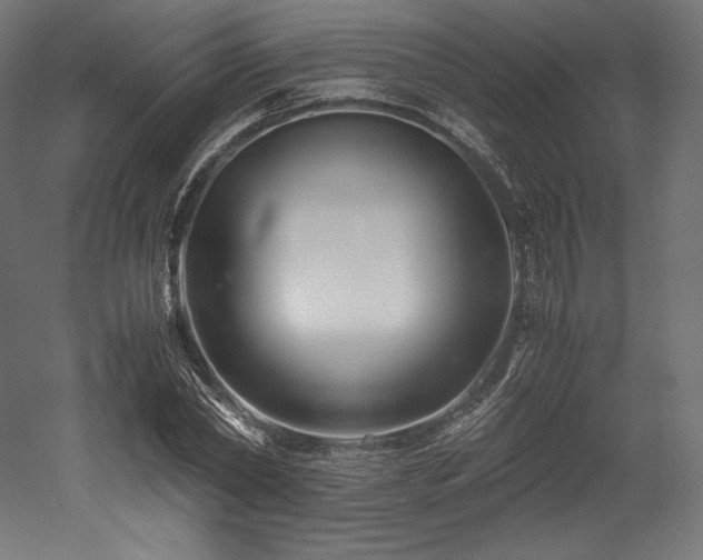 X0000052650782200507011411