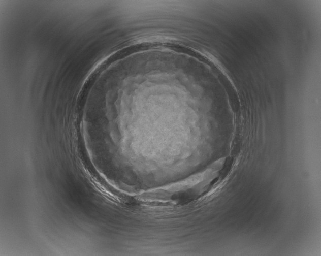 X0000052650783200507011411