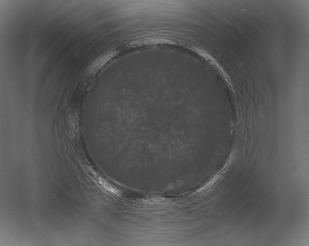 X0000052650785200507011411