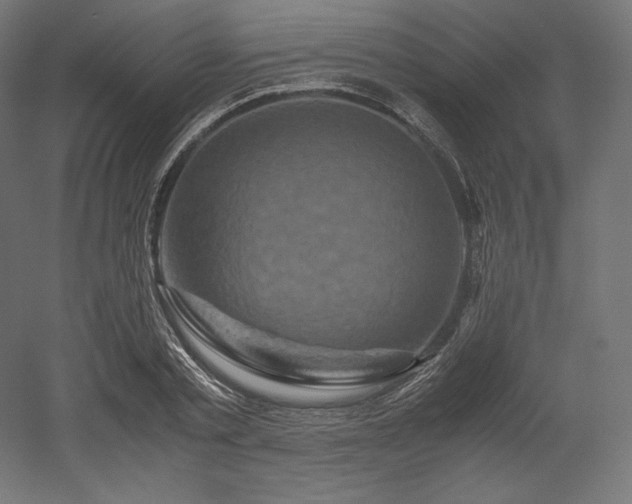 X0000052650789200507011411