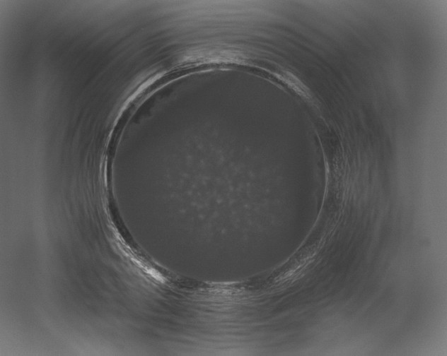 X0000052650790200507011411