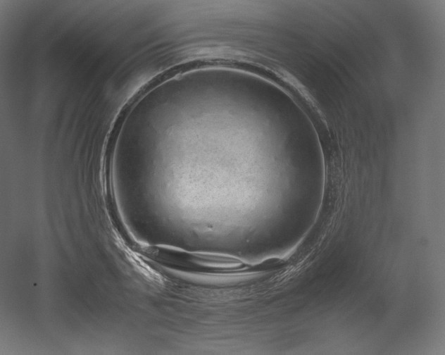 X0000052650791200507011411