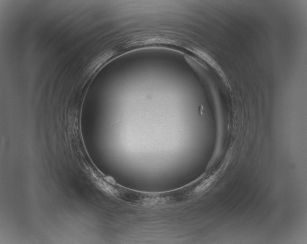 X0000052650793200507011411