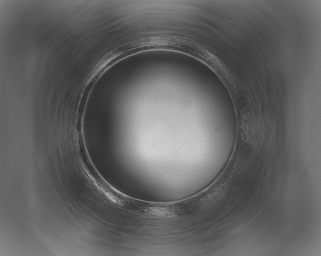 X0000052650794200507011411