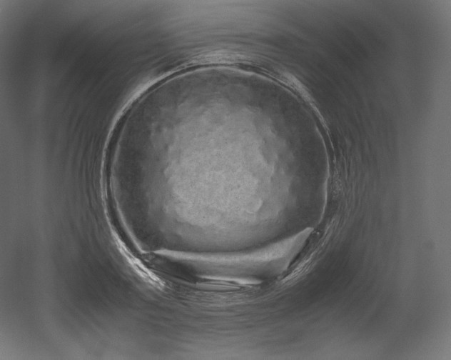 X0000052650795200507011411