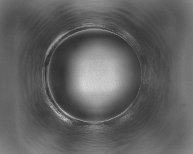 X0000052650796200507011411