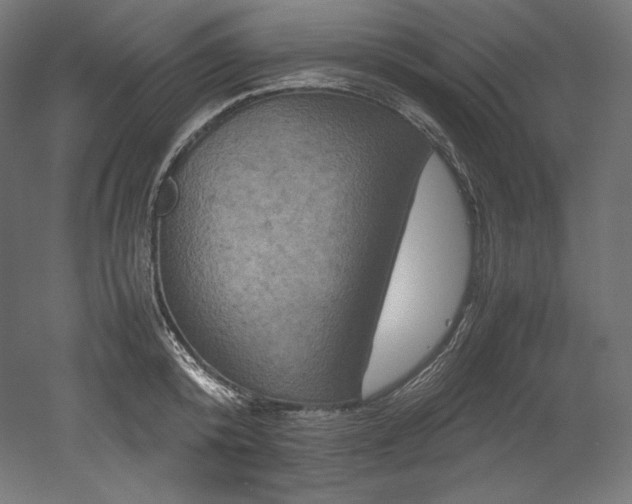 X0000052650800200507011411