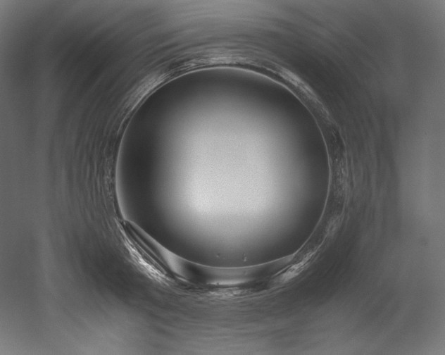 X0000052650801200507011411