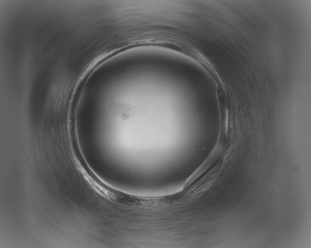 X0000052650803200507011411