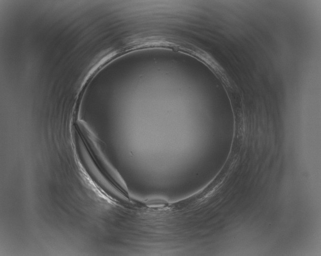 X0000052650806200507011411