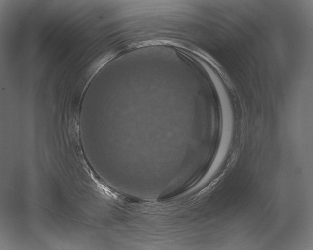X0000052650809200507011411