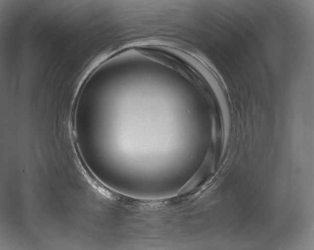 X0000052650813200507011411