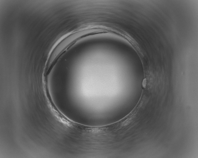 X0000052650814200507011411