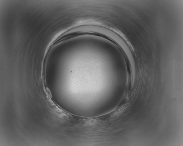 X0000052650815200507011411