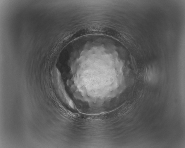 X0000052650817200507011410