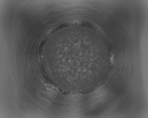 X0000052650819200507011410