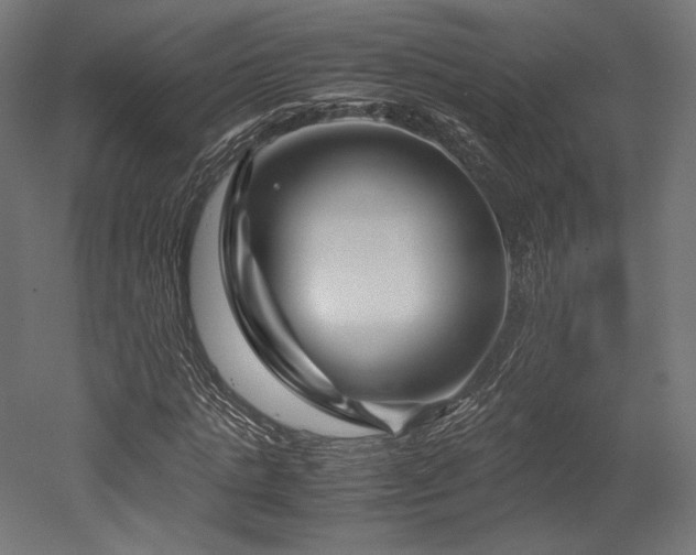 X0000052650821200507011410