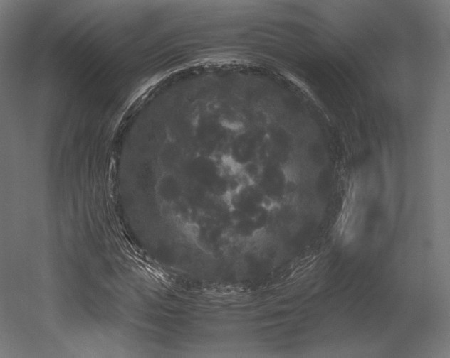 X0000052650823200507011410