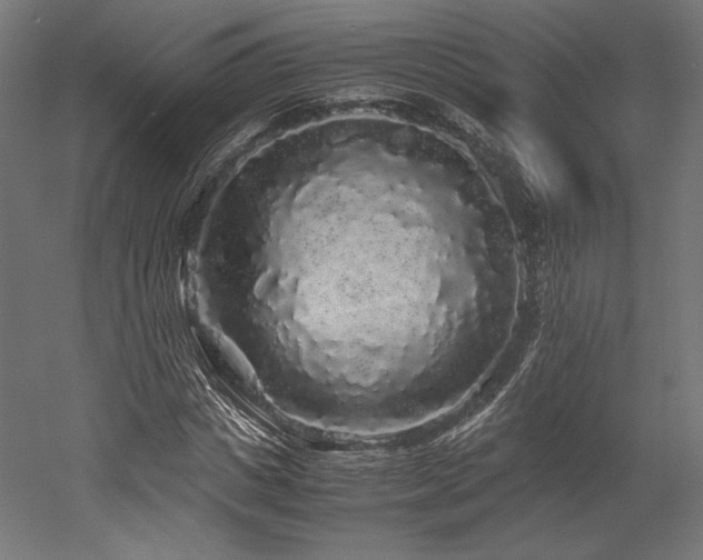 X0000052650825200507011410
