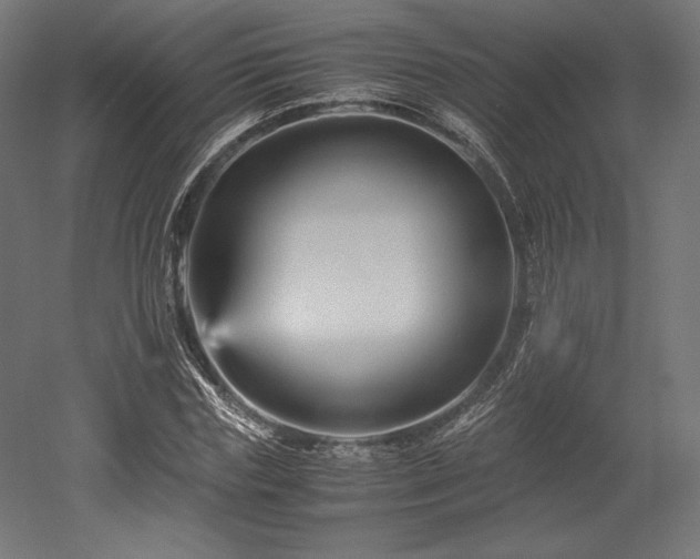 X0000052650827200507011410