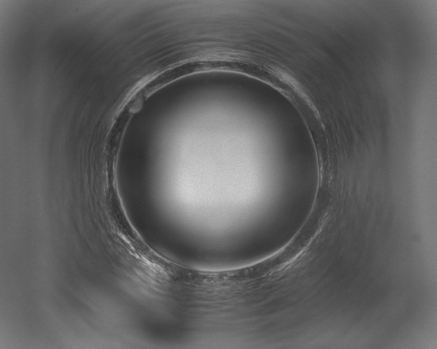X0000052650829200507011410