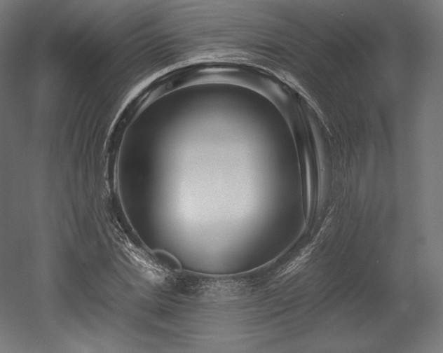 X0000052650830200507011410