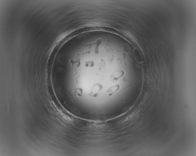 X0000052650831200507011410