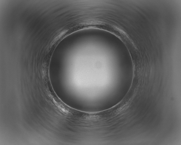 X0000052650833200507011410