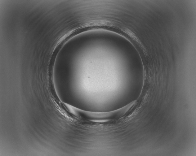 X0000052650834200507011410