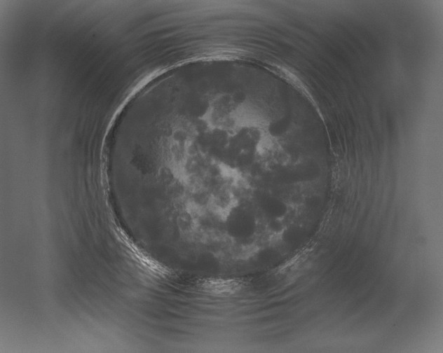 X0000052650835200507011410